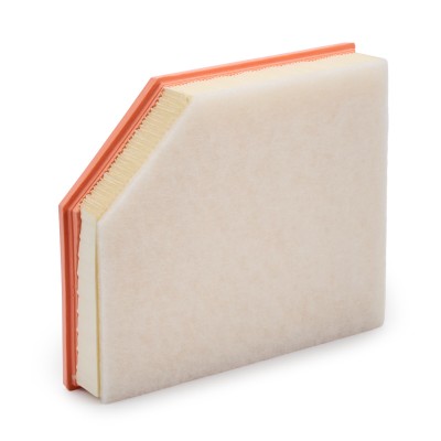 Air Filter RIDEX 8A0836 8A0836 - photo 9