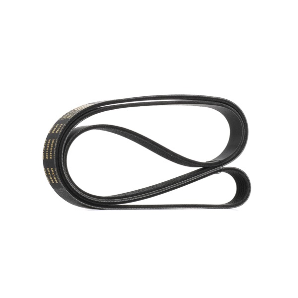 V-Ribbed Belt RIDEX 305P0142P 305P0142P - photo 1