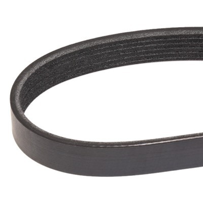 V-Ribbed Belt RIDEX 305B0283 305B0283 - photo 3