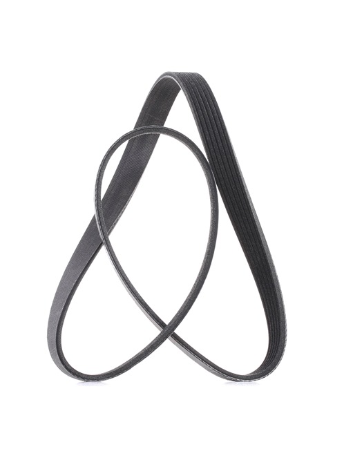V-Ribbed Belt RIDEX 305P0058P 305P0058P - photo 1