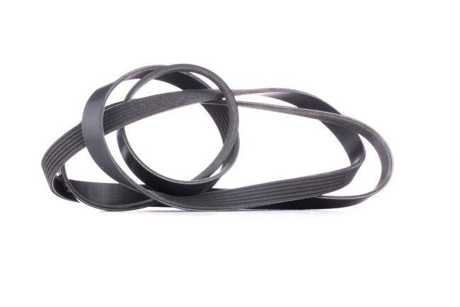 V-Ribbed Belt RIDEX 305P0102 305P0102 - photo 1