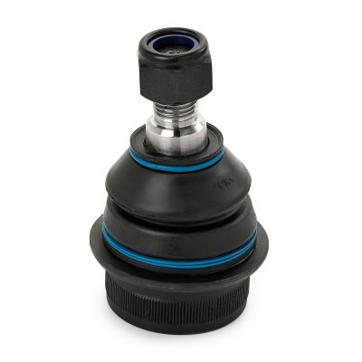 Ball Joint RIDEX 2462S0081 2462S0081 - photo 4