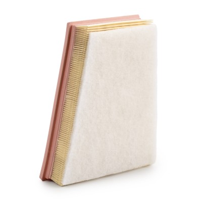 Air Filter RIDEX 8A0868 8A0868 - photo 9