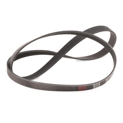 V-Ribbed Belt RIDEX 305P0561P 305P0561P - photo 3