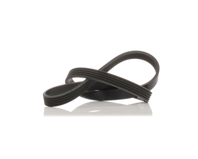 V-Ribbed Belt Stark SK-5PK865 SK-5PK865 - photo 1