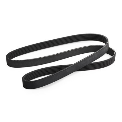 V-Ribbed Belt RIDEX 305P0114 305P0114 - photo 5