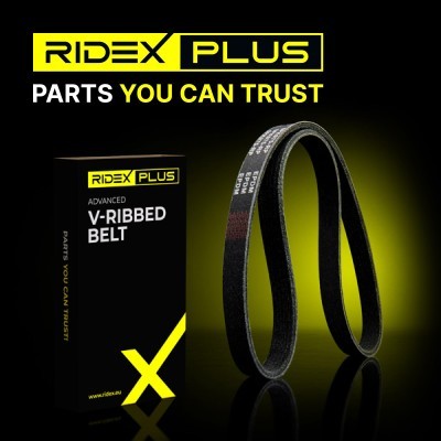V-Ribbed Belt RIDEX 305P0160P 305P0160P - photo 13