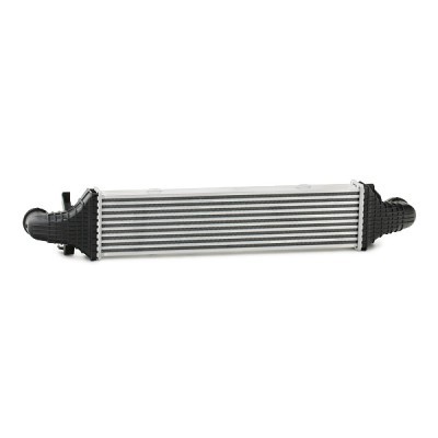 Intercooler, Charger RIDEX 468I0089 468I0089 - photo 4