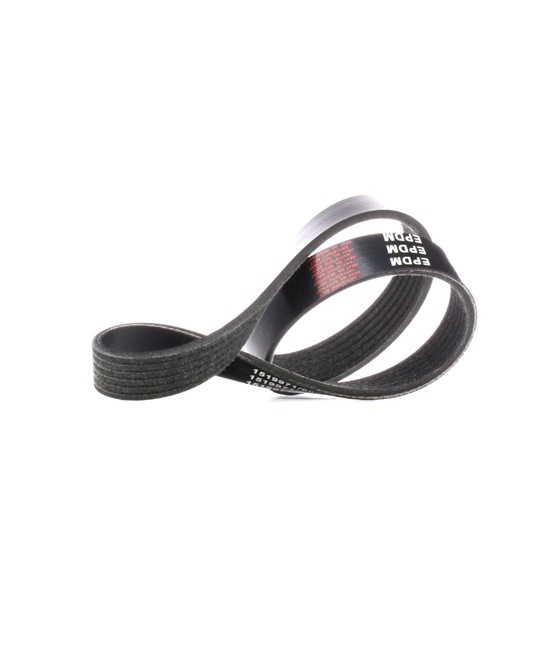 V-Ribbed Belt RIDEX 305P0194 305P0194 - photo 1