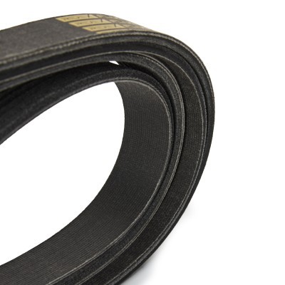 V-Ribbed Belt RIDEX 305P0481P 305P0481P - photo 4