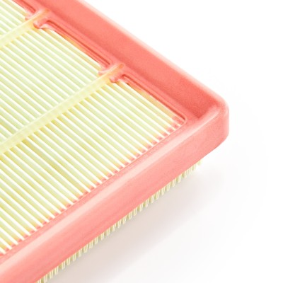 Air Filter RIDEX 8A0794 8A0794 - photo 10