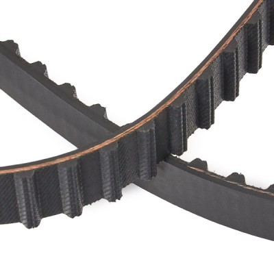 Timing Belt RIDEX 306T0111P 306T0111P - photo 5