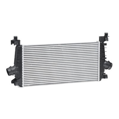 Intercooler, Charger RIDEX 468I0336 468I0336 - photo 4
