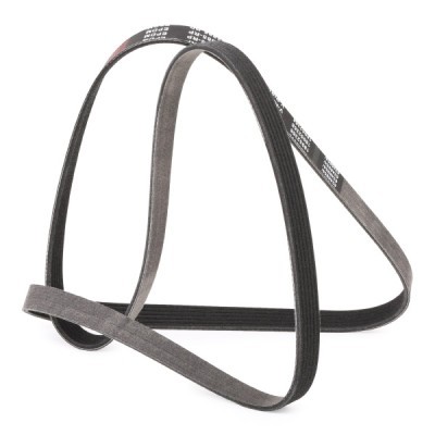 V-Ribbed Belt RIDEX 305P0208P 305P0208P - photo 3
