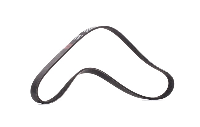 V-Ribbed Belt RIDEX 305P0054P 305P0054P - photo 1
