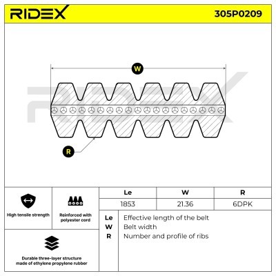 V-Ribbed Belt RIDEX 305P0209 305P0209 - photo 4