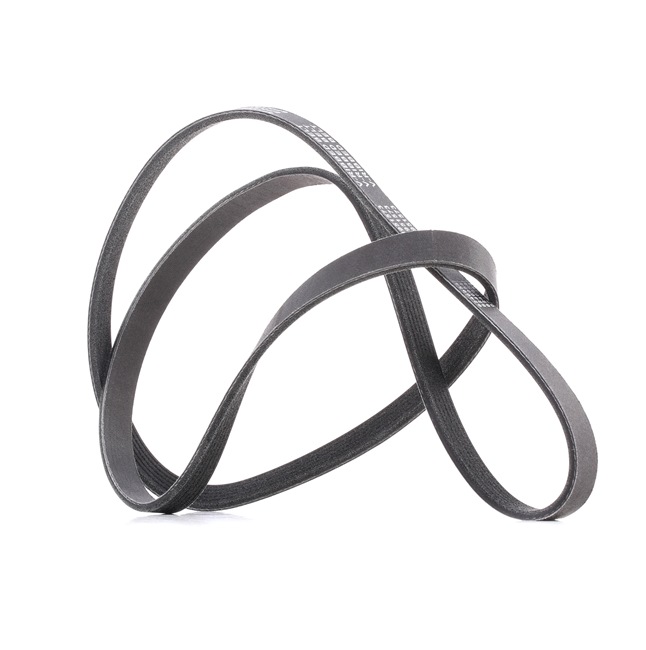 V-Ribbed Belt RIDEX 305P0077P 305P0077P - photo 1