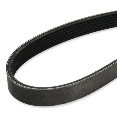 V-Ribbed Belt RIDEX 305P0170P 305P0170P - photo 4