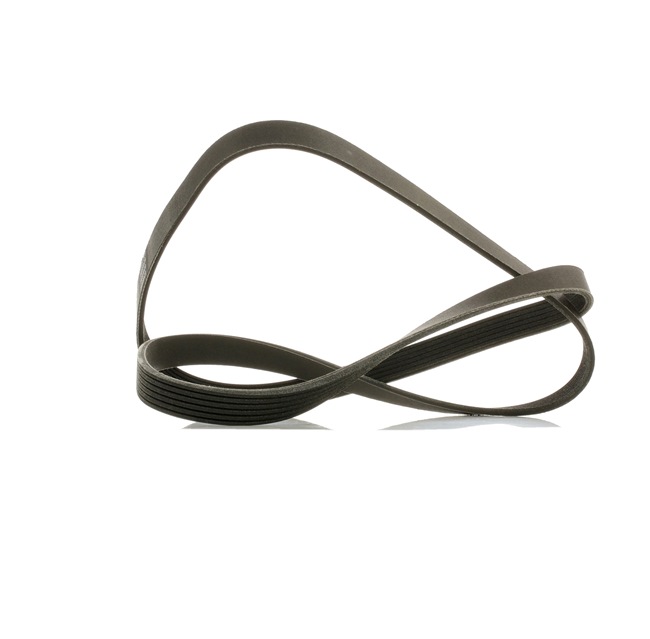 V-Ribbed Belt RIDEX 305P0085P 305P0085P - photo 1