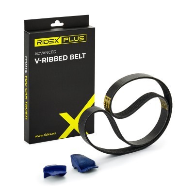 V-Ribbed Belt RIDEX 305P0116P 305P0116P - photo 2