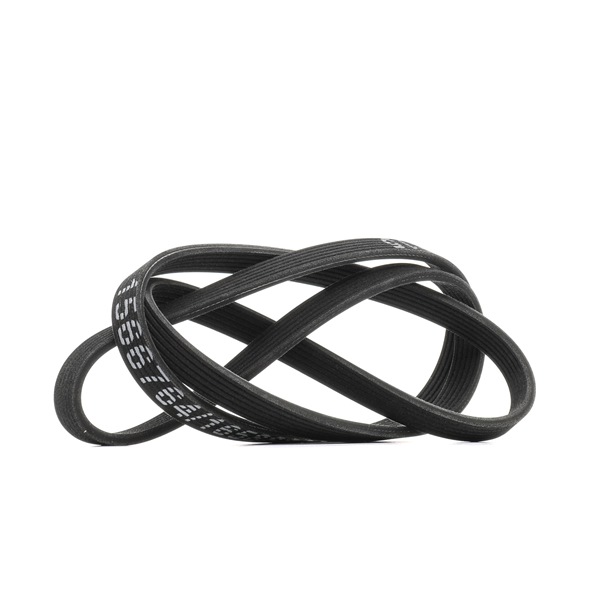 V-Ribbed Belt RIDEX 305P0532 305P0532 - photo 1