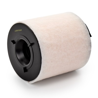 Air Filter RIDEX 8A0167 8A0167 - photo 9