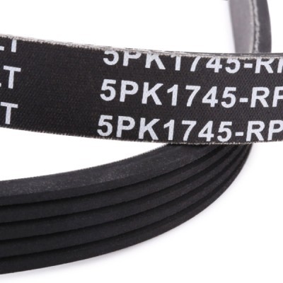 V-Ribbed Belt RIDEX 305P0160P 305P0160P - photo 5