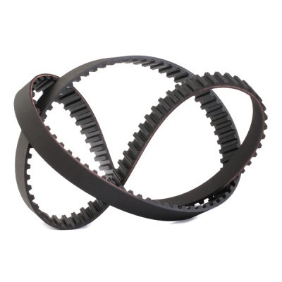 Timing Belt RIDEX 306T0010 306T0010 - photo 3