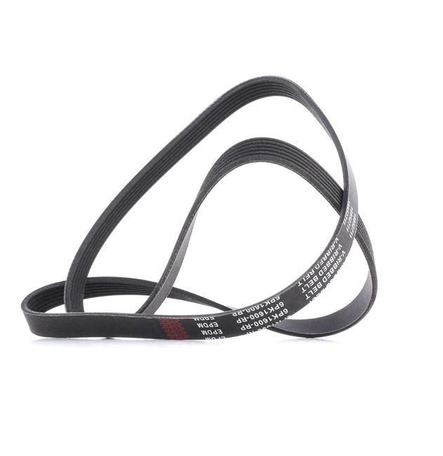 V-Ribbed Belt RIDEX 305P0250P 305P0250P - photo 1