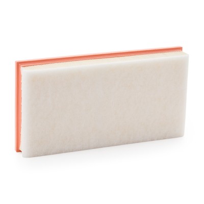 Air Filter RIDEX 8A0998 8A0998 - photo 8