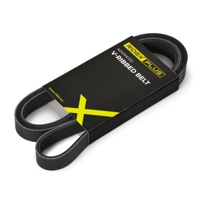 V-Ribbed Belt RIDEX 305P0173P 305P0173P - photo 2