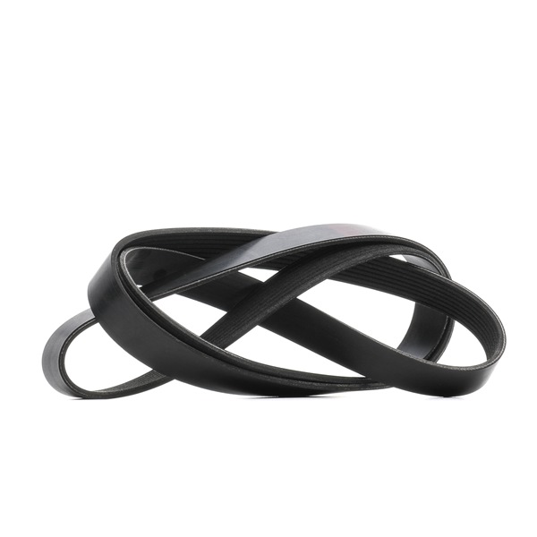 V-Ribbed Belt RIDEX 305P0497 305P0497 - photo 1
