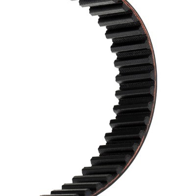 Timing Belt RIDEX 306T0175 306T0175 - photo 4