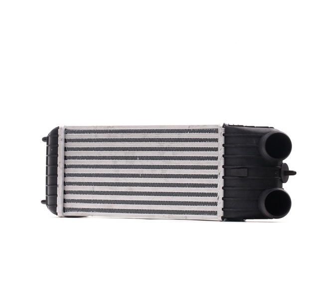 Intercooler, Charger RIDEX 468I0139 468I0139 - photo 1