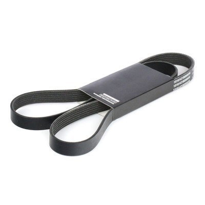 V-Ribbed Belt RIDEX 305P0144 305P0144 - photo 2