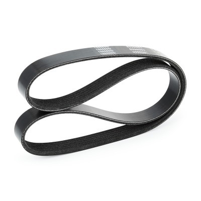 V-Ribbed Belt RIDEX 305P0311 305P0311 - photo 4