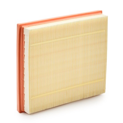 Air Filter RIDEX 8A0071 8A0071 - photo 9