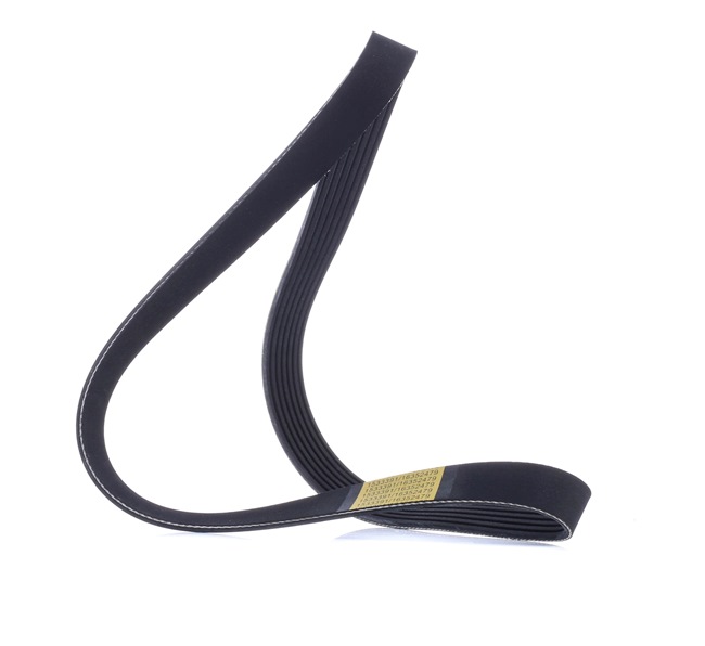 V-Ribbed Belt RIDEX 305P0489 305P0489 - photo 1