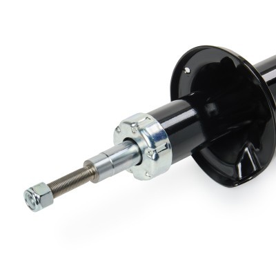 Shock Absorber RIDEX 854S18173 854S18173 - photo 5