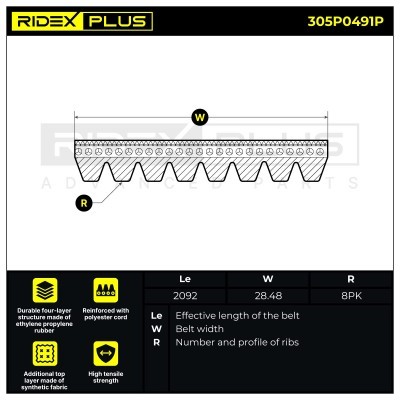 V-Ribbed Belt RIDEX 305P0491P 305P0491P - photo 3