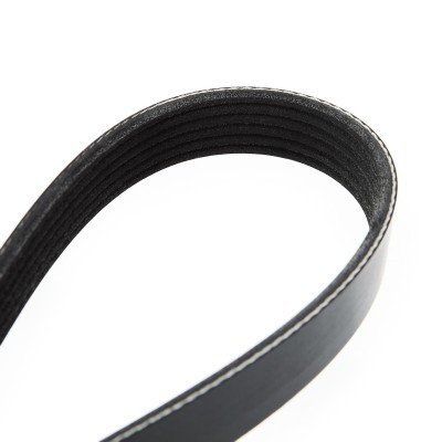 V-Ribbed Belt RIDEX 305P0110 305P0110 - photo 5