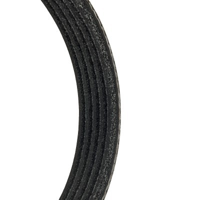 V-Ribbed Belt RIDEX 305P0125P 305P0125P - photo 5