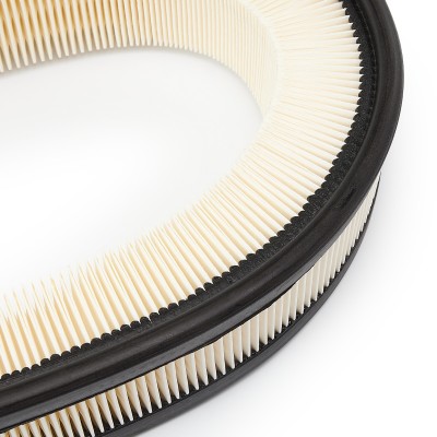 Air Filter RIDEX 8A0245 8A0245 - photo 5