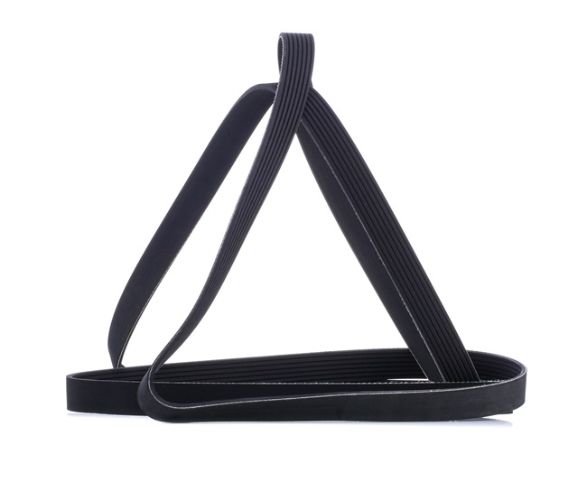 V-Ribbed Belt RIDEX 305P0378 305P0378 - photo 1