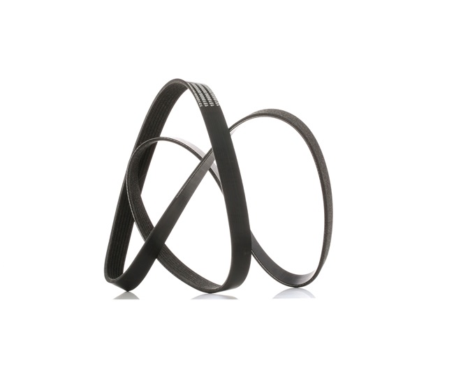 V-Ribbed Belt RIDEX 305P0237 305P0237 - photo 1