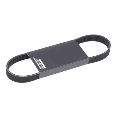V-Ribbed Belt RIDEX 305P0495 305P0495 - photo 2
