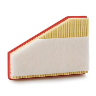 Air Filter RIDEX 8A0290 8A0290 - photo 8