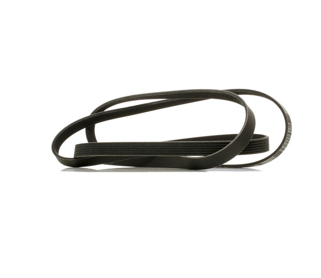 V-Ribbed Belt RIDEX 305P0365P 305P0365P - photo 1