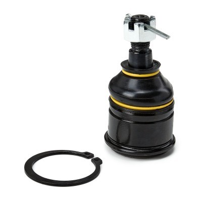 Ball Joint RIDEX 2462S0022P 2462S0022P - photo 2