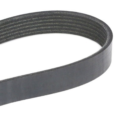 V-Ribbed Belt RIDEX 305P0144 305P0144 - photo 4
